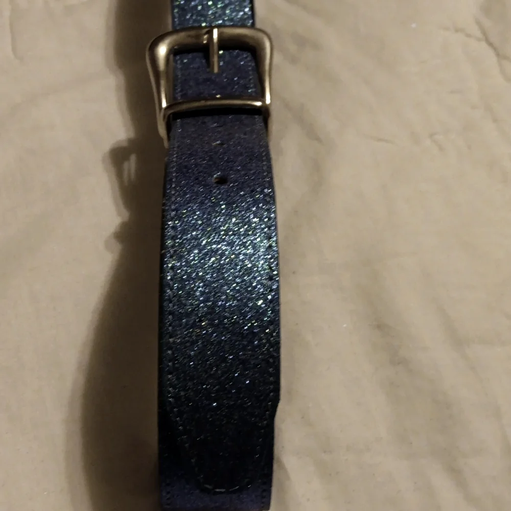 NWOT Absolutely Fresh girls Sparkly Belt Sz M, Man-Made Materials, Turquoise